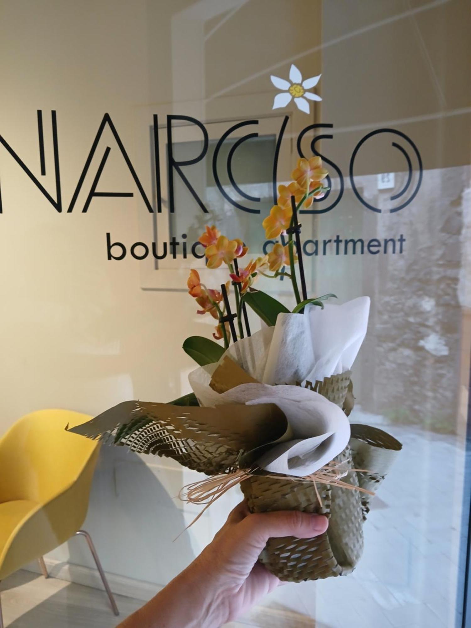 אסראלה Narciso Boutique Apartment מראה חיצוני תמונה
